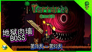 Terraria 泰拉瑞亚 地狱肉墙BOSS，哥布林军团袭击，解锁古老的黑暗与光明， 天国巫师军团 DAY 78-92 （全字幕）