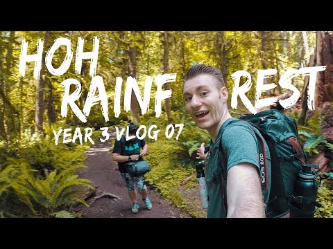 Hiking in the Hoh Rainforest