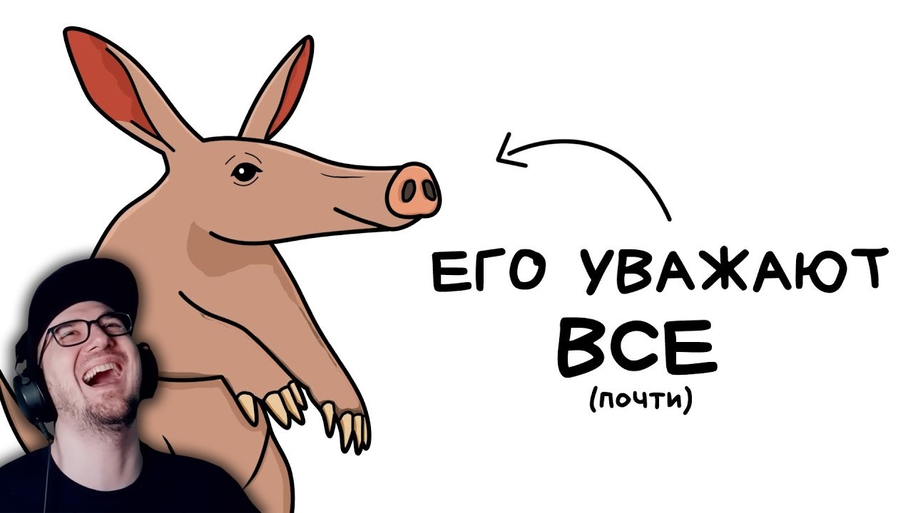 Ты - Трубкозуб (И ТЕБЕ РЕАЛЬНО ПОВЕЗЛО) | Реакция