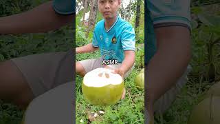 Download lagu #asmr #kelapamuda #kelapagenjah #kelapawulung mp3 Download lagu #asmr #kelapamuda #kelapagenjah #kelapawulung mp3