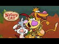 Nature Cat Theme Song Instrumental