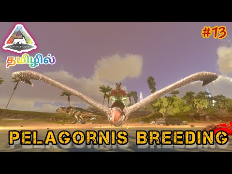 How To Breed Pelagornis/Pelagornis Breeding Ark Survival Evolved Gameplay In Tamil /Part #13[CRG]