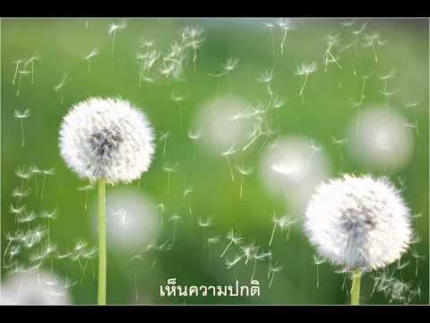 Plazmolifting และโรคสะเก็ดเงิน บรั่นดีเครื่องดื่มโรคสะเก็ดเงิน