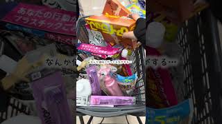 【専業主婦の日常vlog】まとめ買いDAY
