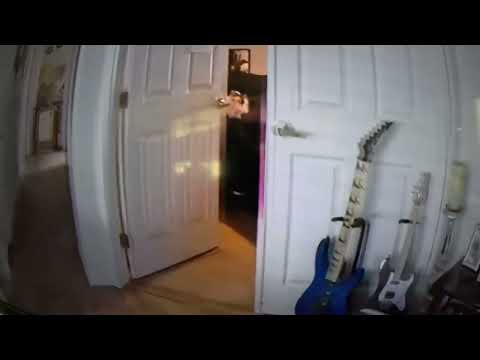 Shayda…I sing about my Cat 🐈‍⬛ and I don’t sing often…