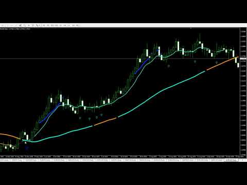 Video SFO Trend Racer