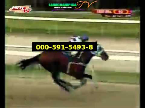 LA RINCONADA 10 CARRERA DOMINGO 23 DE NOVIEMBRE DEL 2014