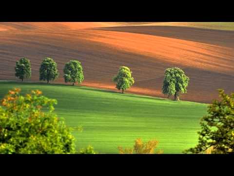 Rimsky-Korsakov - Mlada Suite, Procession of the Nobles - Svetlanov