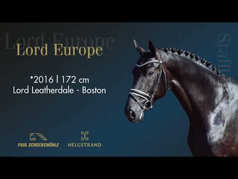 Lord Europe - Dressurkollektion 2022 Schockemöhle & Helgstrand (DEU)