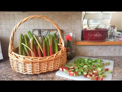 download lagu mp3 mp4 How To Freeze Rhubarb Stalks, download lagu How To Freeze Rhubarb Stalks gratis, unduh video klip How To Freeze Rhubarb Stalks