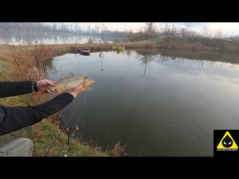Method Feeder ribolov :: Kasapska Ada (Malo Jezero)
