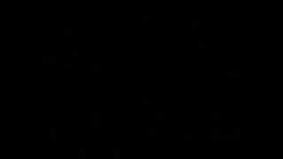 Alice In Chains - Private Hell W/ Lyrics