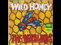 Aren't You Glad? - The Beach Boys (Extended Version)