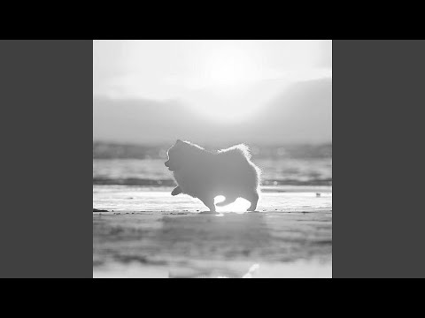 hemo the magnificent