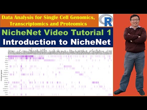 NicheNet Video Tutorial 1: Introduction to NicheNet