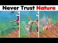Why I Ll NEVER Trust Nature