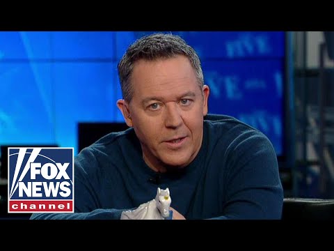 Gutfeld on calling Trump supporters a cult Gutfeld on calling Trump supporters a cult