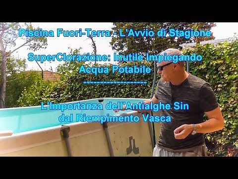 Video su parassiti in linea Parassita di vischio di impianti