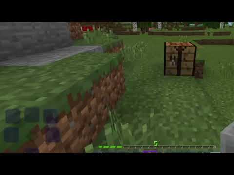 la mia nuova coltivazione Apple craft #3