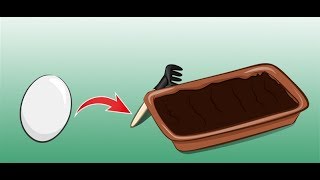 ЧТО будет, если посадить в землю СЫРОЕ ЯЙЦО И ШКУРКИ БАНАНА!