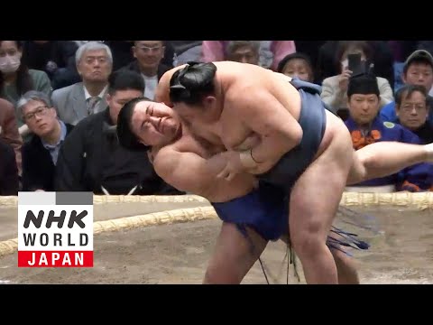 GRAND SUMO: Day 8 of the January 2026 Tournament - GRAND SUMO Highlights