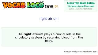 Video thumbnail for right atrium