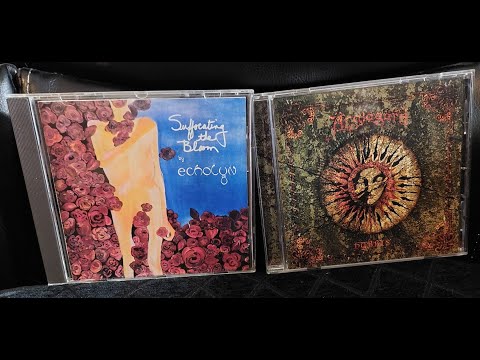 In the Prog Seat: 1992 Album War- Echolyn 'Suffocating the Bloom' vs Anglagard 'Hybris'