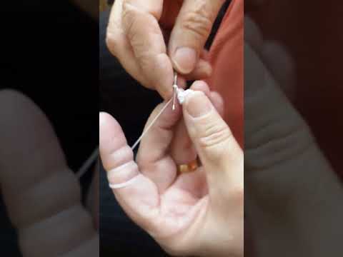 Hogyan szaporodnak a pinworms