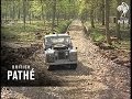 Longleat Lions 1966