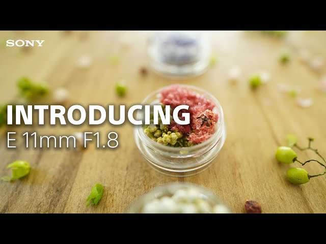 Vidéo SONY E 11 mm f/1,8