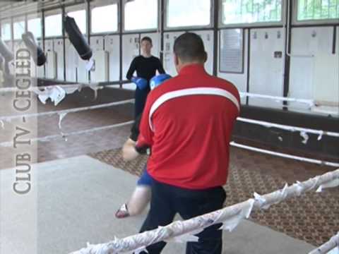 SZELLŐ IMRE PROFI MAGYAR BAJNOK