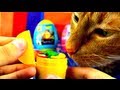 7 Surprise Eggs Surprise CAT Kinder Surprise Angry Birds Toy Story Hello Kitty Cars 2 Princess