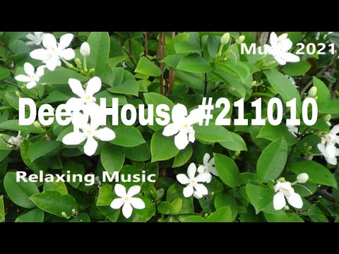 Deep House Mix Trance Chill out Music #211010