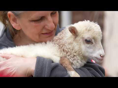 Herausfordernde Tierrettung geglückt!