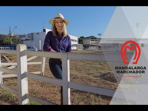 Mangalarga Marchador TV - Programa 511