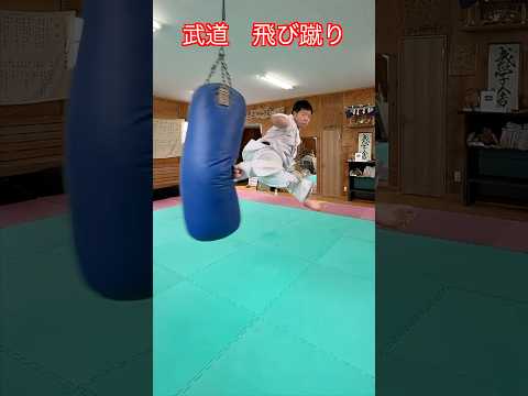 【武道・格闘技】今まで撮影でやった飛び蹴り各種！まとめてみた！！　#aikido ＃karate #martial #武道 #空手＃合気道＃筋トレ#selfdefens