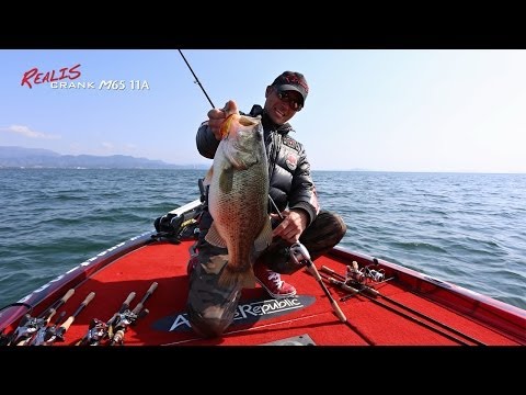 Realis: Biwa Chronicles Vol.1: Realis Crank M65 11A