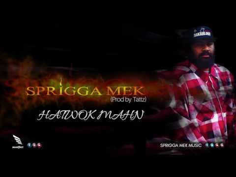 Sprigga Mek - HATWOK MAHN (Prod by Tattz) 2017