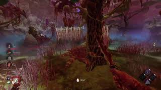 dbd 6/5記録用　トラップなしトラッパー