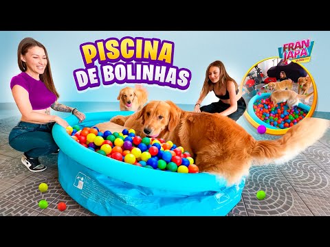 PRIMEIRA PISCINA DE BOLINHA DOS MEUS CACHORROS !- Fran Japa