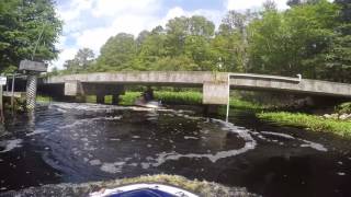 Jet ski accident - Jet skiing a woodsy jungle creek and hit by a fish