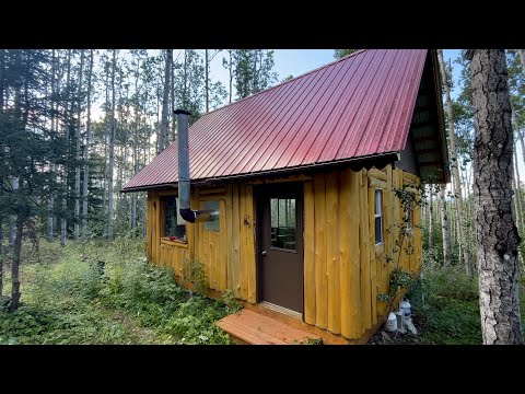 10 Years at the Off Grid Cabin Homestead