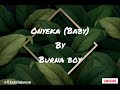 Burna Boy - Onyeka (Baby) (Lyric Video)
