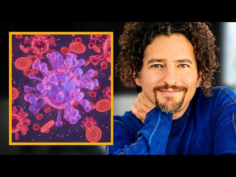 David "Avocado" Wolfe's Opinion on Mind-Controlling Parasites