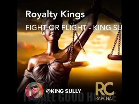 FIGHT Or FLIGHT - KING SULLY