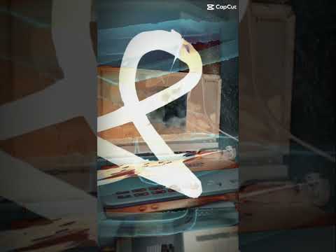Alejandro Olvera Lozornio-20