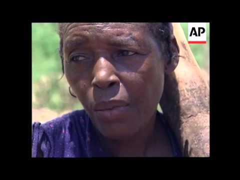 HAITI: DEFORESTATION & LACK OF RAIN TURN SHORES INTO A DUSTBOWL