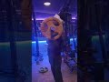Je Jatt Vigar Gya Songs