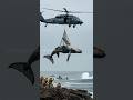 Helicopter Rescues Stranded Super Rare Blue Whale