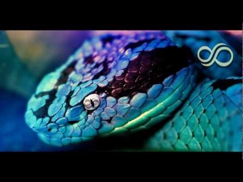 Snake Eyes - Feint (feat. CoMa) FULL! [Monstercat Release]